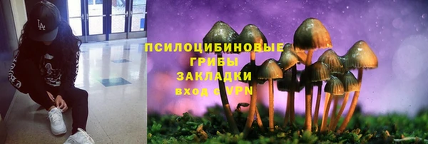 a pvp Абинск