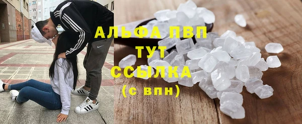 стаф Алзамай