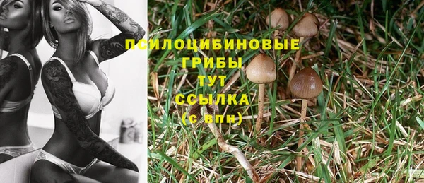мет Губаха
