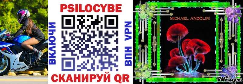 Псилоцибиновые грибы мухоморы  Дмитриев 